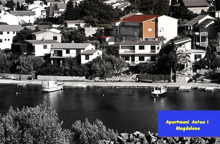 Apartment Antea & Magdalena Pirovac